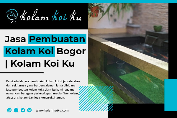 artikel-kolam-koi-ku-1-fixx artikel-kolam-koi-ku-1-fixx