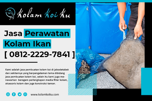 artikel-kolam-koi-ku-2-fixx artikel-kolam-koi-ku-2-fixx