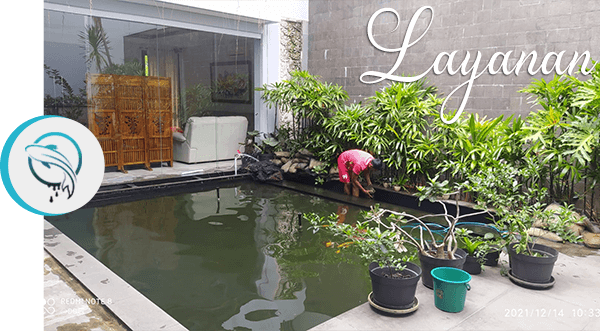gambar-layanan-kolam-koi-ku-3 Jasa Pembuatan Kolam Koi Bogor