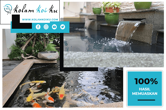 profil-kolam-koi-ku Jasa Pembuatan Kolam Koi Bogor